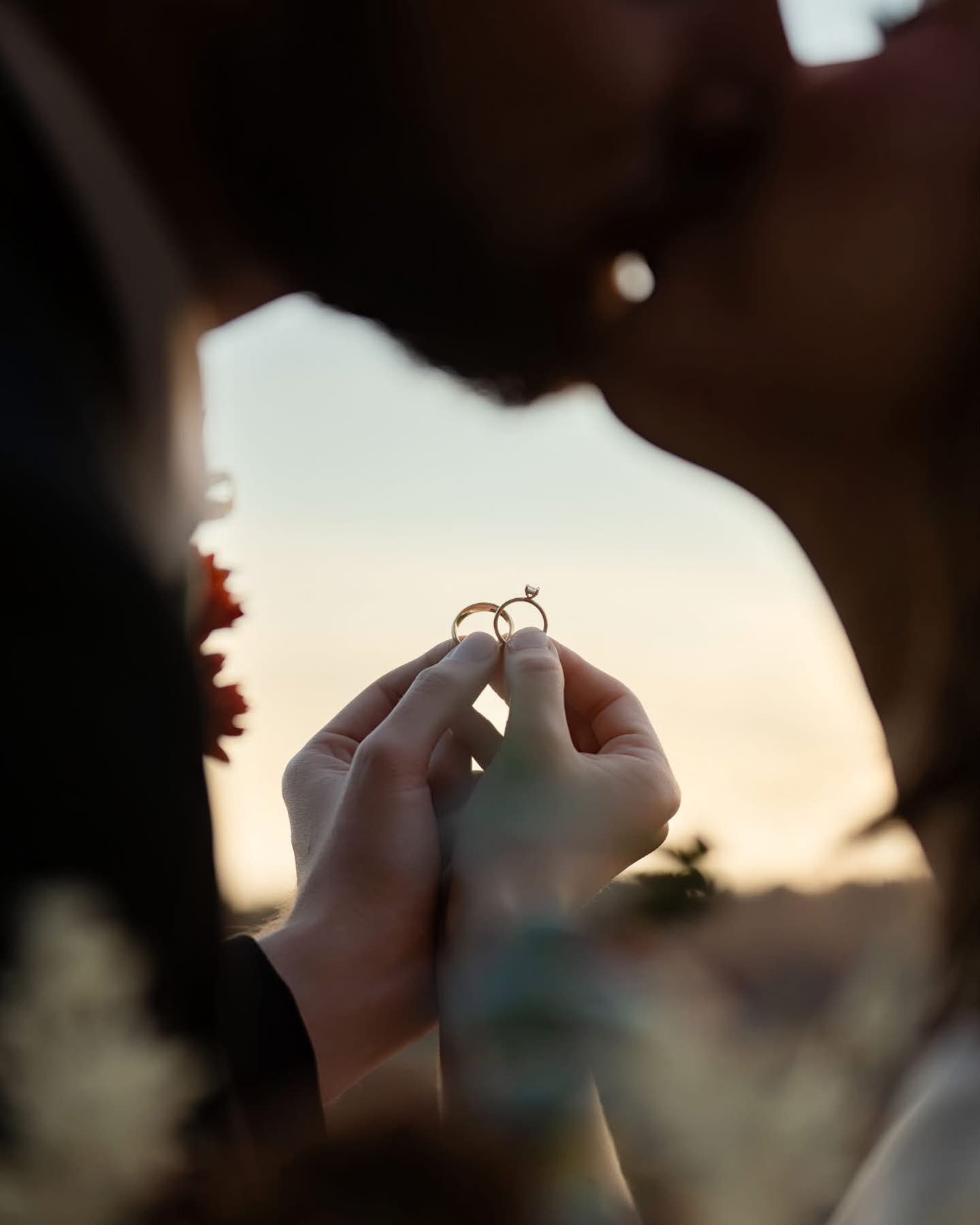 Two people holding their rings together in a softly backlit close-up
